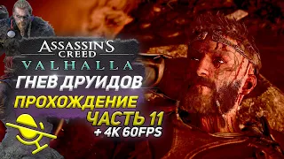 ПОСЛЕДСТВИЯ ВОЙНЫ ➤ Assassin's Creed Valhalla ГНЕВ ДРУИДОВ ➤ Прохождение DLC #11 ➤ PS5