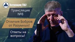 Трансляция №8! Отличия Бобров от Разумных Людей! Ответы на вопросы! КАТЮЩИК ТВ2