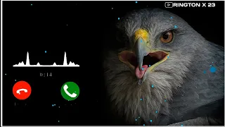 eagle ringtone/ eagle song rington / rington x 23