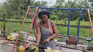 Part 1 | Adventures in beautiful Guyana 🇬🇾 #Tourguyana #leonora #market