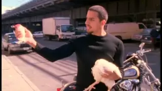 Pulls the Head off a Chicken: Fearless | David Blaine