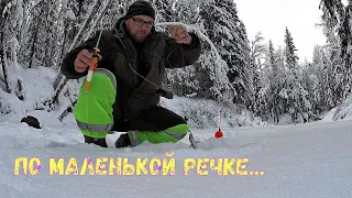 Речка , хариус , поиски . Ноябрь Коми..