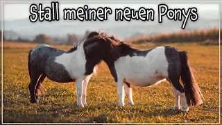 So wohnen meine neuen Ponys ✮ + Umbauarbeiten am Stall & Änderungen auf meinem Youtube Kanal ♥