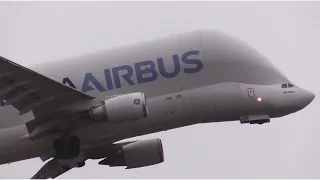 Airbus A300-600ST Beluga in the weather at Hawarden