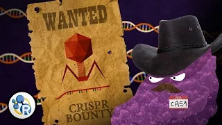 Genetically Modified Humans? CRISPR/Cas 9 Explained