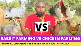 Rabbit Farming VS Chicken Farming; Which One Is More Profitable?