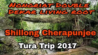 Shillong, Double Dekar living root Nongriat khasi hills