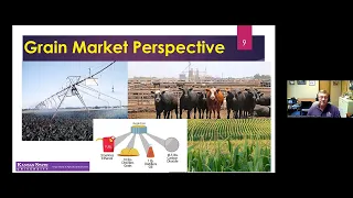 International Grain Market Trends and Impact of Geopolitical Conflict