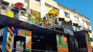 Daniela Mercury no Circuito Campo Grande/ Carnaval de Salvador 2024