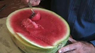 How to Eat a Watermelon Tutorial Featureman