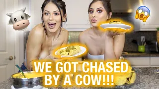 NACHOS MUKBANG | WE GOT CHASED BY A COW!