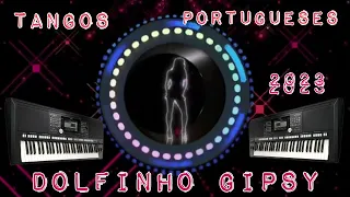 tangos portugueses 2023 dolfinho gipsy🔊🎶