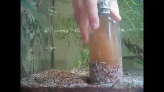 Aquarium gravel cleaning