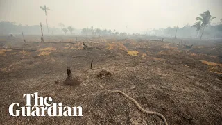 Drone footage reveals aftermath of Amazon fires
