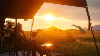 Botswana's Luxurious Safari Camps In The Middle Of Nature | World Class Compilation