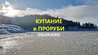 Купание в ПРОРУБИ. Hvervenbukta. Интервью с Моржами.