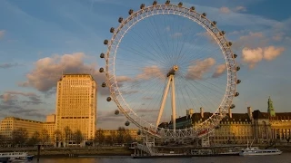 Лондон 2013. День 6 Часть 1. Музей Естествознания и London Eye