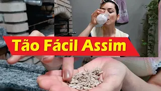 COMO FAZER LEITE CASEIRO com Sementes de Girassol - FÁCIL BARATO, QUE EMAGRECE