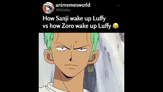 Zoro just know Luffy very well 😛 #SHORTS