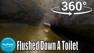 360 video || Flushed Down a Toilet Version 4 || Animation VR 4K