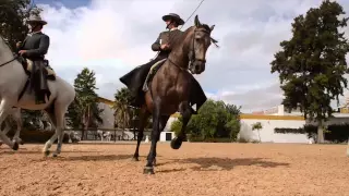 Royal Andalusian School of Equestrian Art