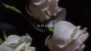 Loreen - Is It Love (Lyrics / Sped up)