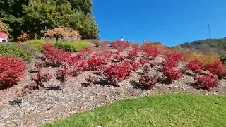 Mt Lofty Botanic Garden 2 Adelaide Hills South Australia