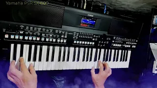 Pet Shop Boys - Its a sin cover Yamaha PSR SX-600