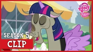 The Science of Friendship (What About Discord?) | MLP: FiM [HD]