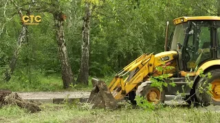 Из заросшего леса в благоустроенный сквер