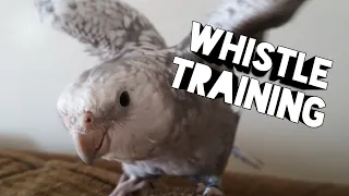 Coco and Arlo learn The Addams Family Theme Song "WHISTLE TRAINING" TheManThatDoes