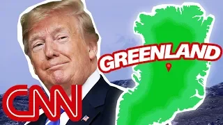 Yes, Donald Trump wants to buy Greenland