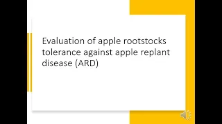 Evaluation of apple rootstocks in tolerance against specific apple replant disease. (W Truter)