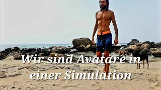 Das Spiel des Lebens als Avatar in einer Simulation