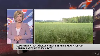 Белорусские предприятия впервые купили семена масличных в Алтайском крае через БУТБ