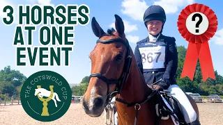 Rosettes & Refusals | Taking 3 Horses to Pontispool Cotswold Cup