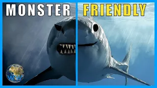 Are Sharks Monsters? (A response)