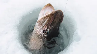 Craziest Underwater Footage I've Ever Captured (Ice Fishing For Pike)