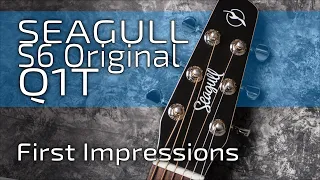 SEAGULL S6 Original Natural Q1T | First Impressions