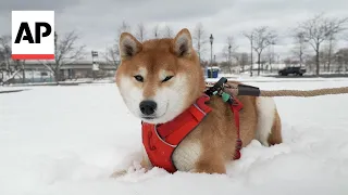 Minnesota gets several inches of snow