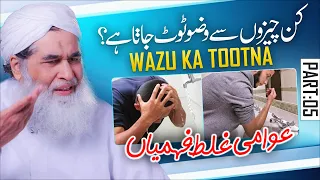 Wazu Karne Ka Tarika | Wazu Ka Sahi Tariqa | Wazu Kin Cheezo Se Toot Jata Hai | Maulana Ilyas Qadri