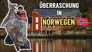 Mega HEILBUTT beim Angeln in Norwegen! 🇳🇴 Urlaub in Norwegen Saltstraumen Brygge & Skjerstadfjord