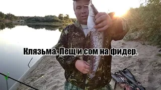 Рыбалка на реке Клязьма. Часть 1. Вечер. Сом и лещ на фидер.