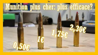 Les meilleures munitions en 308W: surplus, training, match ou rechargé?