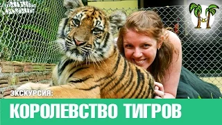 Королевство Тигров на Пхукете, экскурсии на Пхукете | Tiger Kingdom