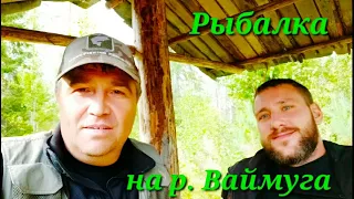 Рыбалка на р. Ваймуга. Ловля хариуса-первый опыт.