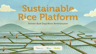 Sustainable Rice Cultivation using the SRP (Sustainable Rice Platform) Standard