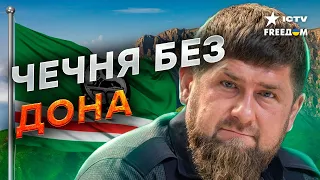 Что БУДЕТ с ЧЕЧНЕЙ без К@ДЫРОВА? Еще ЖИВОЙ или уже…