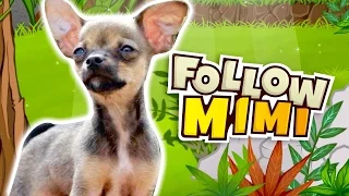 EL JUEGO EN HONOR A MIMI | Follow Mimi