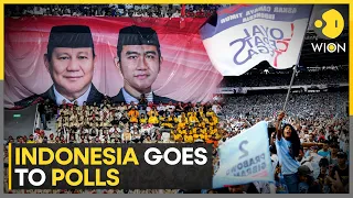 Indonesia Elections: Voting begins as over 200 million head to polls | World News | WION